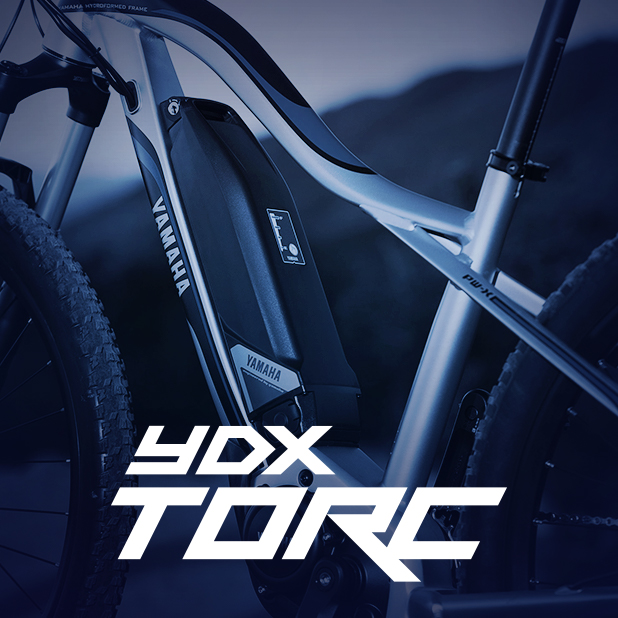 YDX-TORC