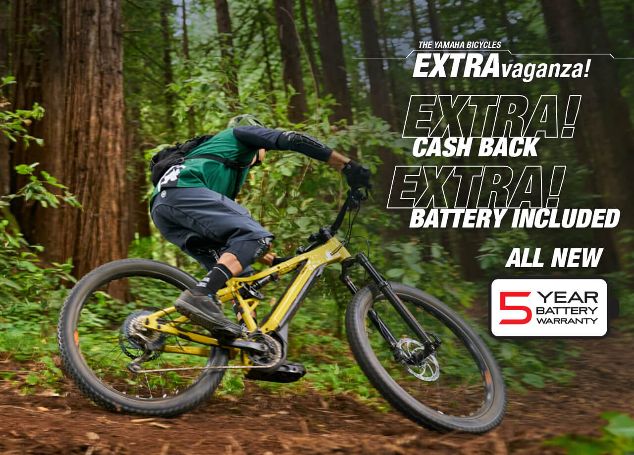 Electric Mountain Bike YDX-Moro